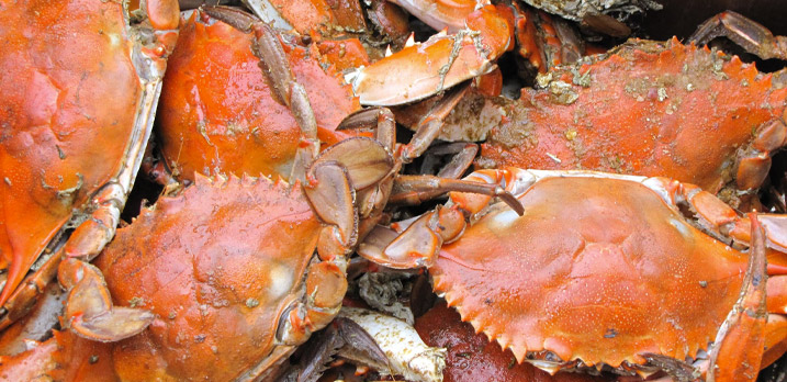 What Is Crabbing? A Beginner's Guide